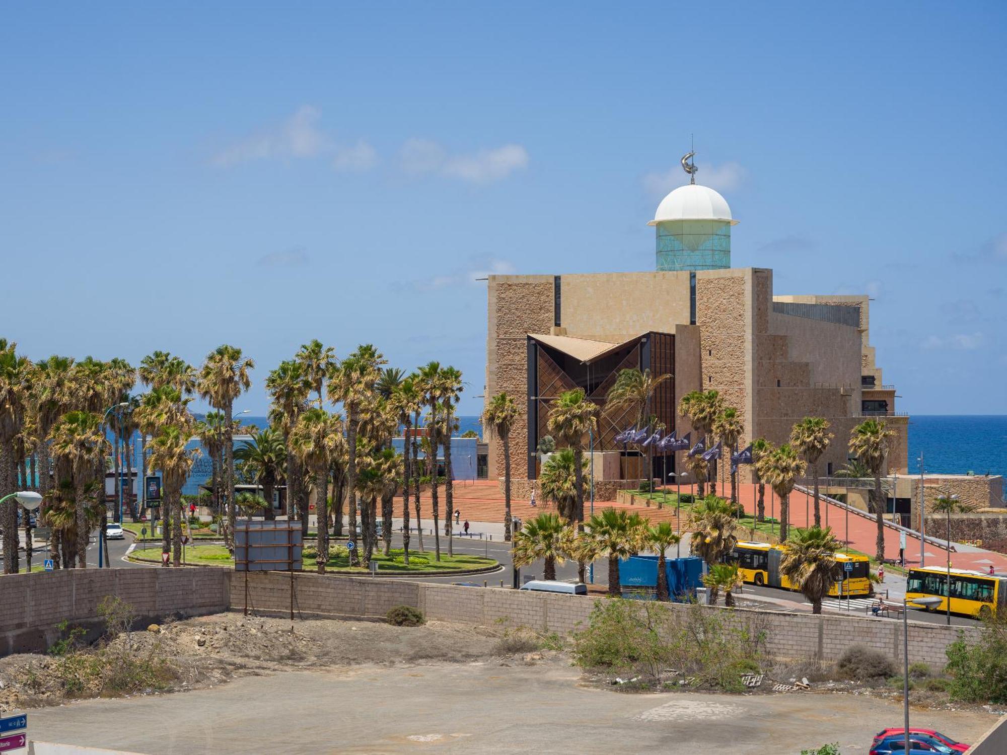 Family Auditorio